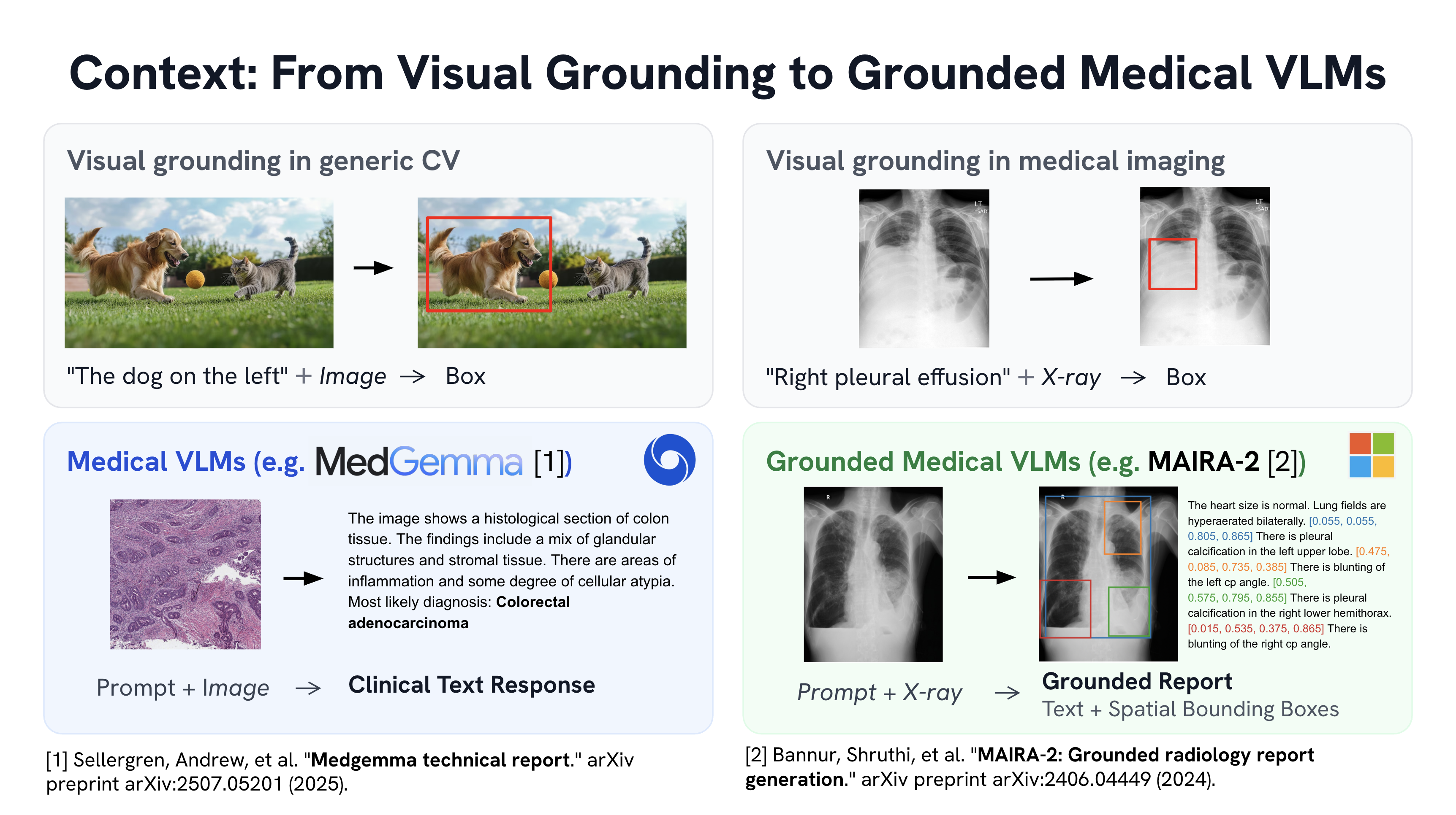 Context of visual grounding and medical VLMs