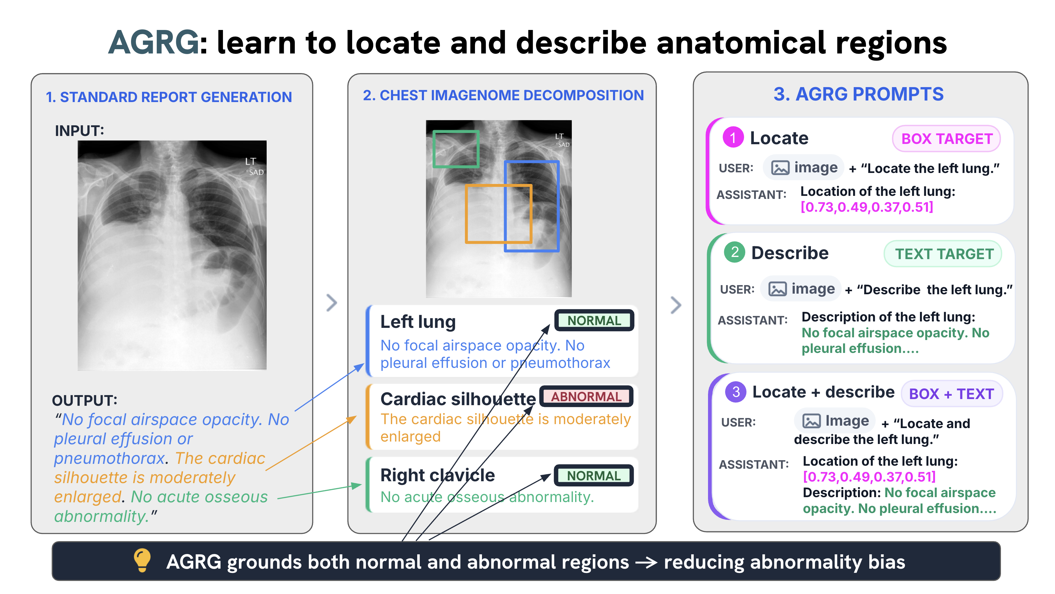 Anatomy-Grounded Report Generation task structure